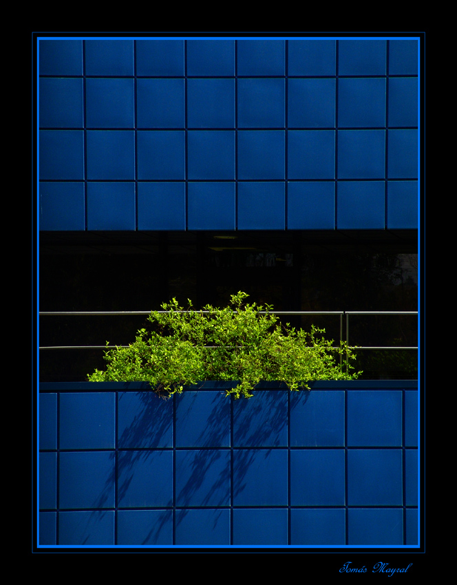 Verde sobre AZUL