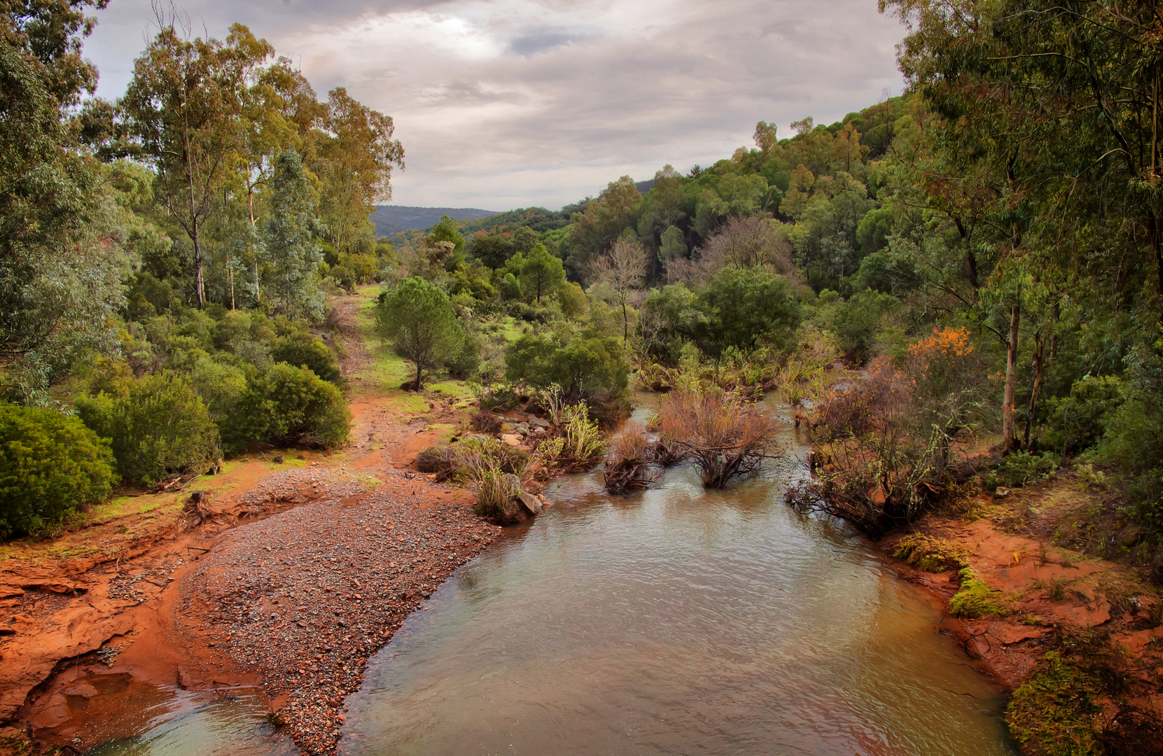 VERDE SOBRE TIERRAS ROJAS.