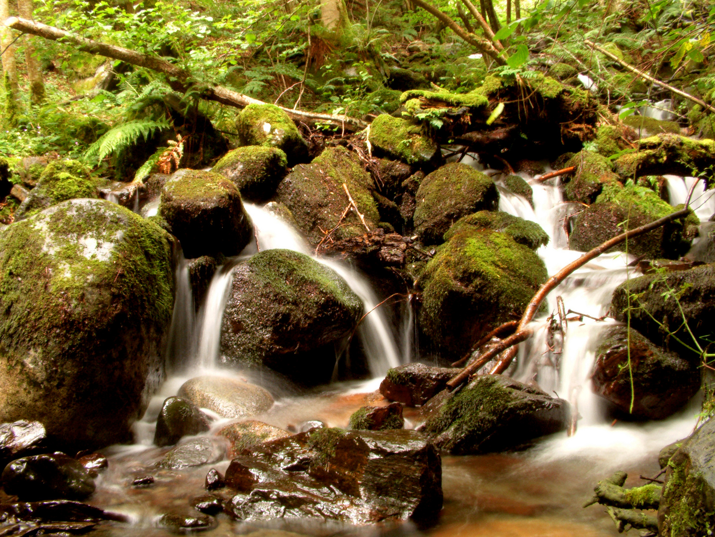 Verde y agua