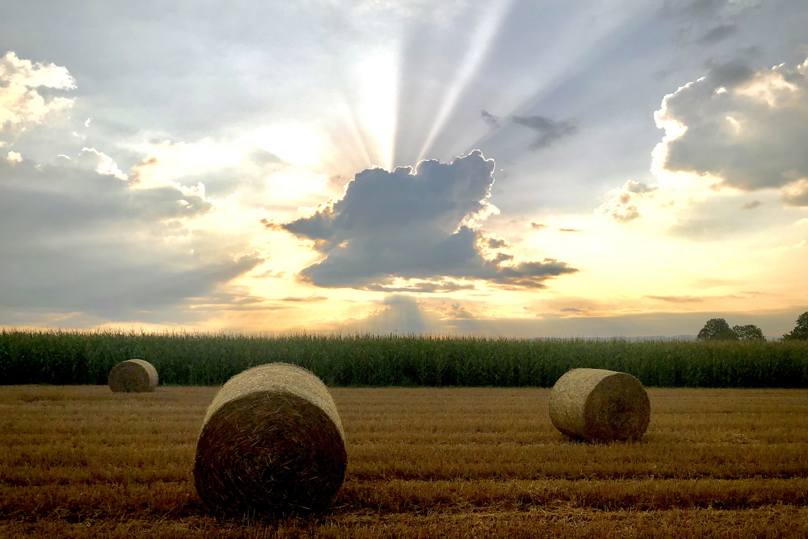 Verdeckter Sonnenaufgang über Stoppelfeld