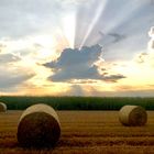 Verdeckter Sonnenaufgang über Stoppelfeld