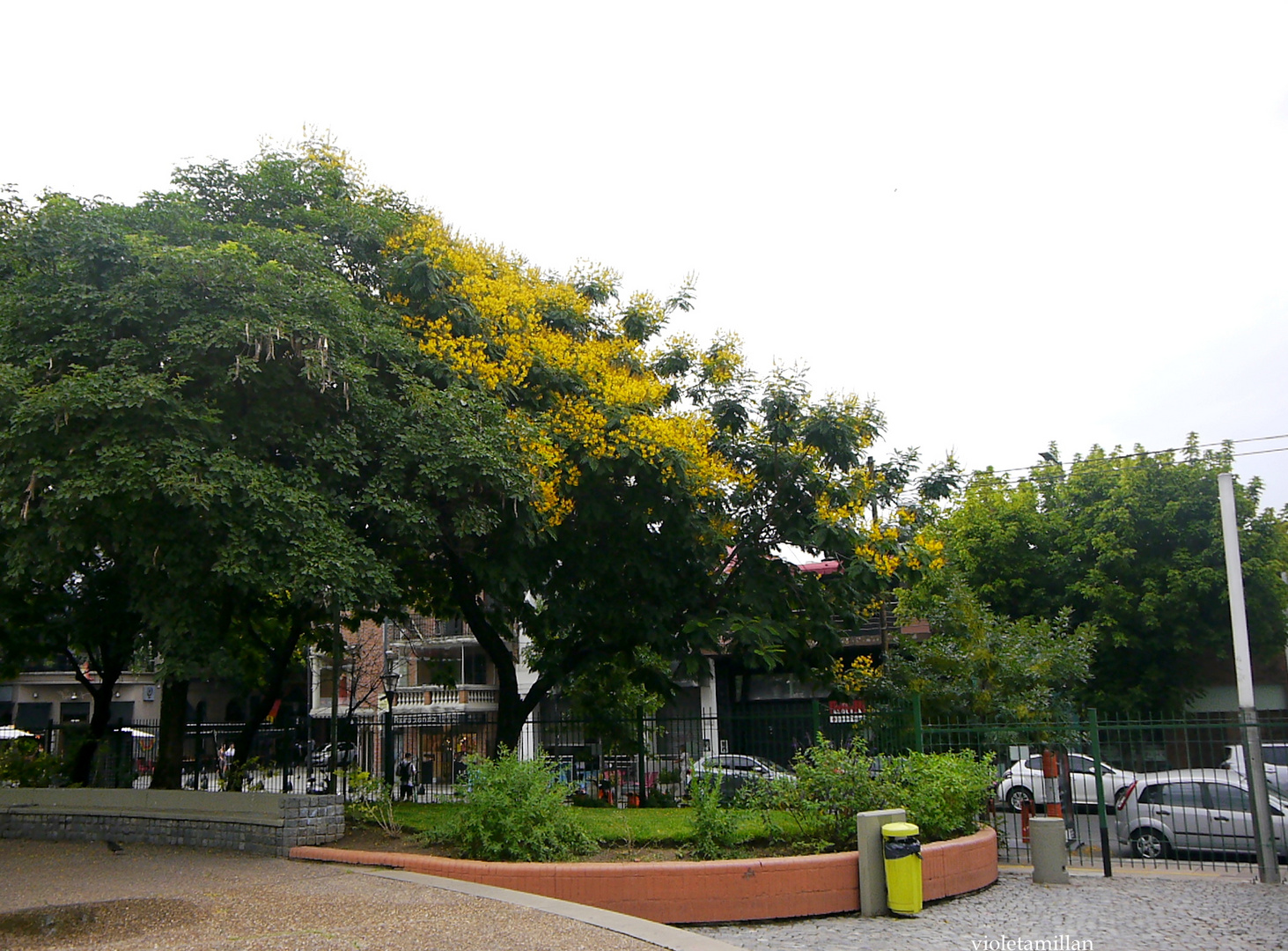 VERDES Y COLORES DE LA CIUDAD DE BUENOS AIRES