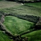 verdicchio land...