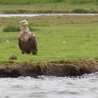 verdiente Pause am Flußufer