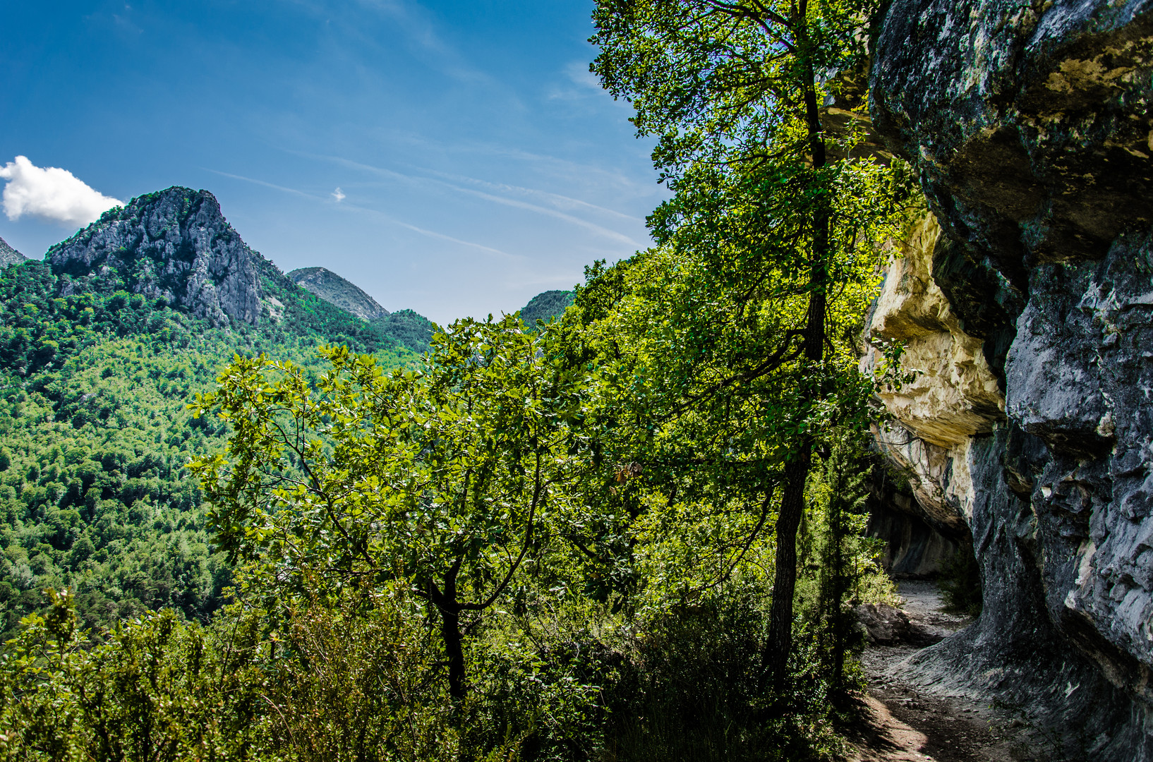 Verdon