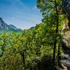 Verdon