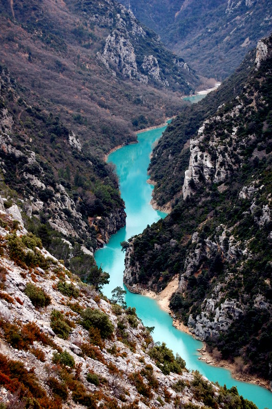 verdon