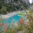 verdon