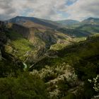 Verdon 