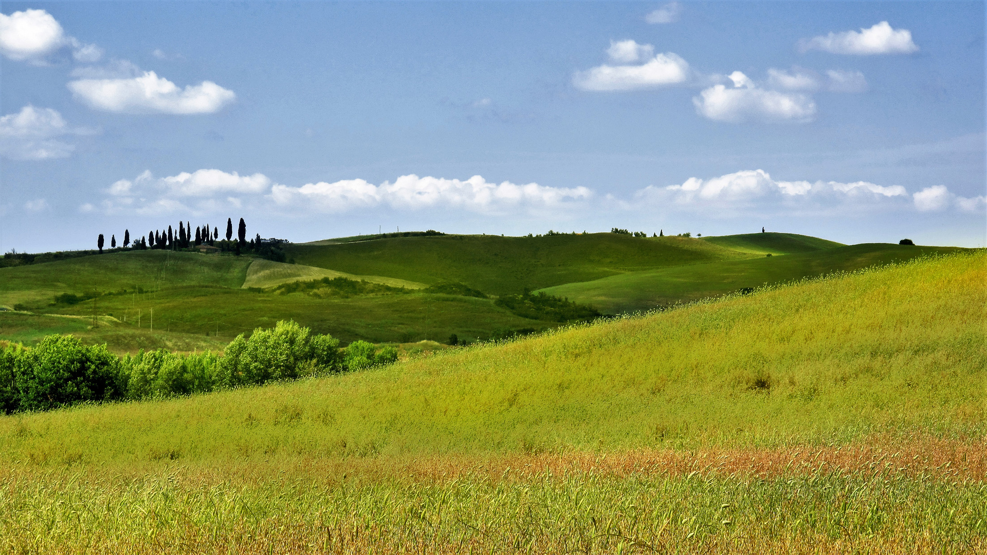 Verdoyante Toscane