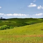 Verdoyante Toscane