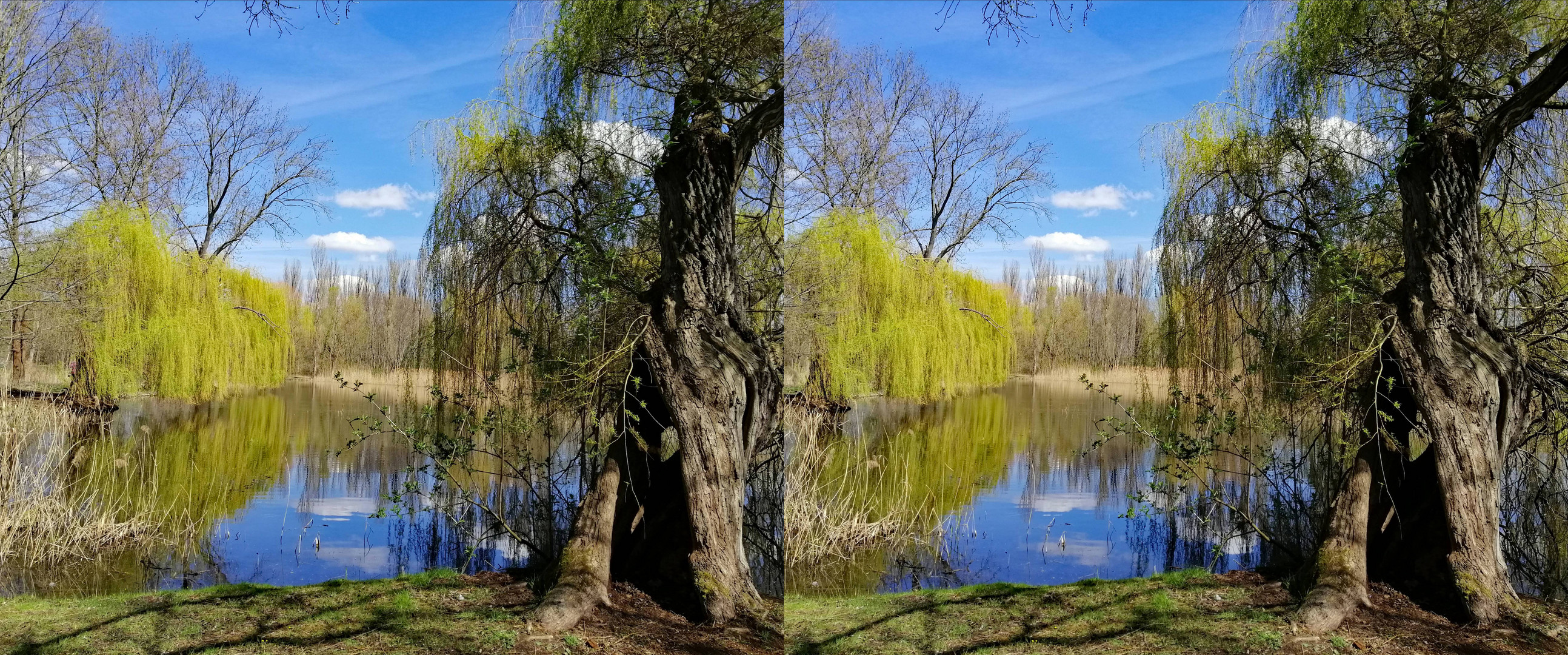 verdreht mit Loch (3-D X-view  Kreuzblick  stereo)