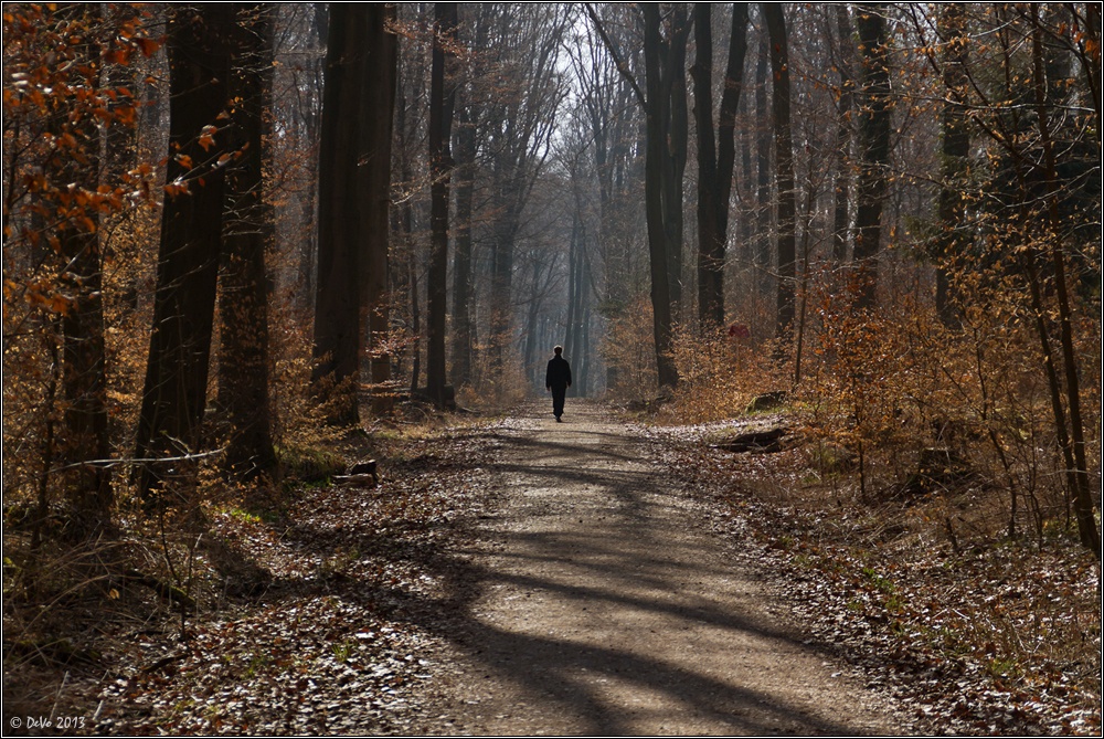 Verdrehte Zeit