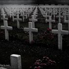 Verdun 2: Ohne Ende