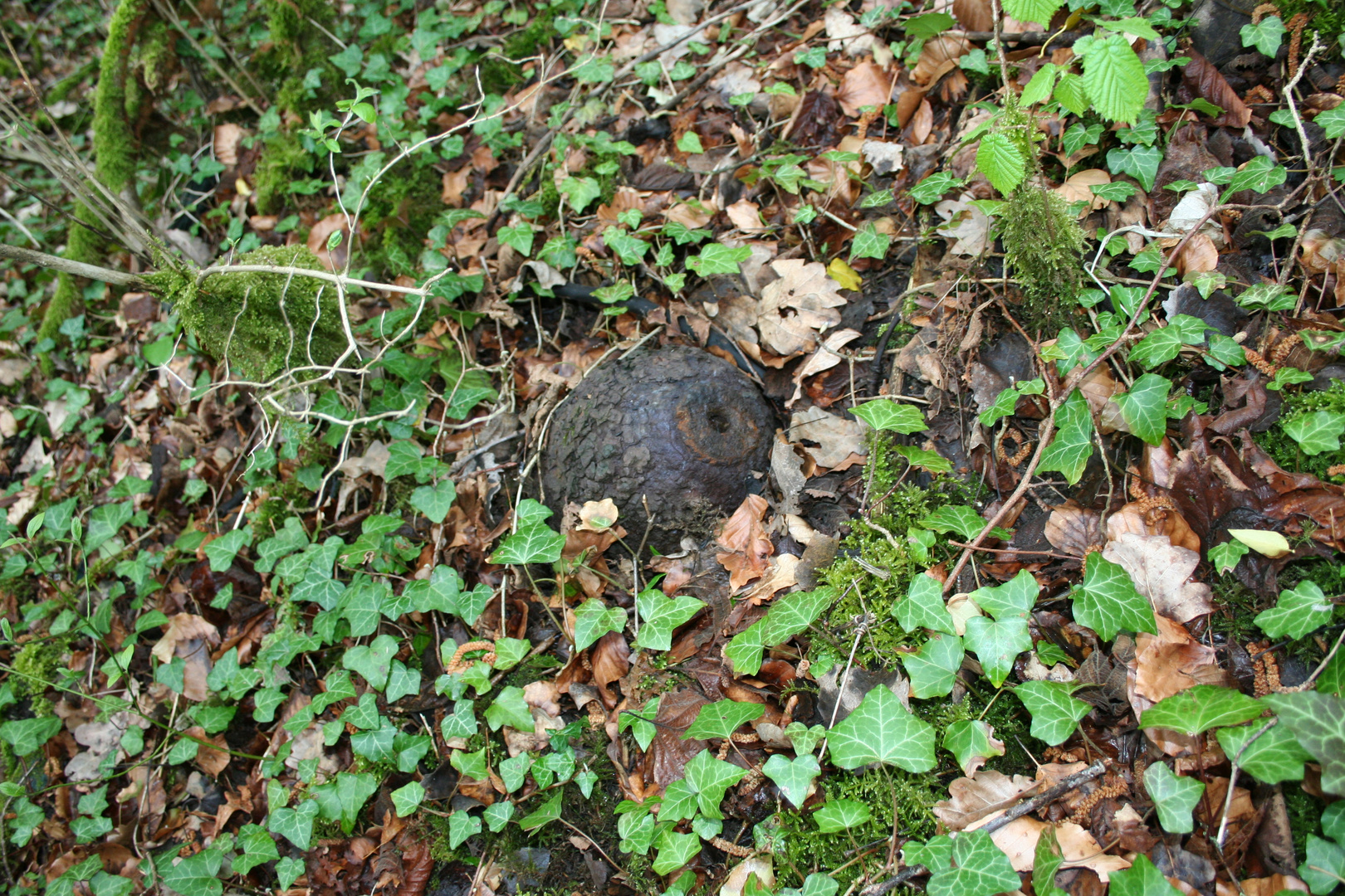 Verdun abseits der Normalen Wege 2