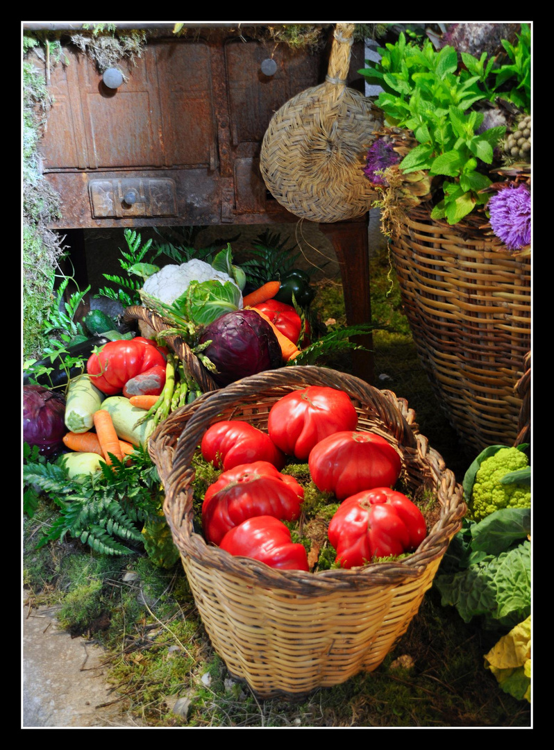 VERDURAS & HORTALIZAS