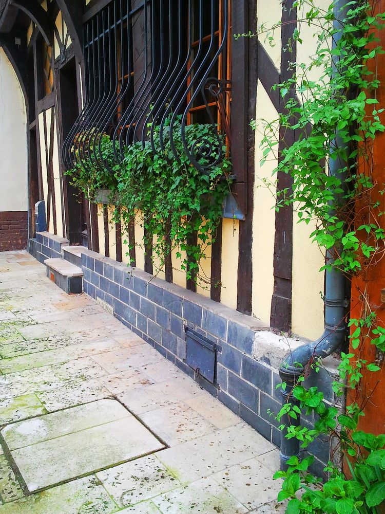 Verdure au coeur de Troyes de bichette 