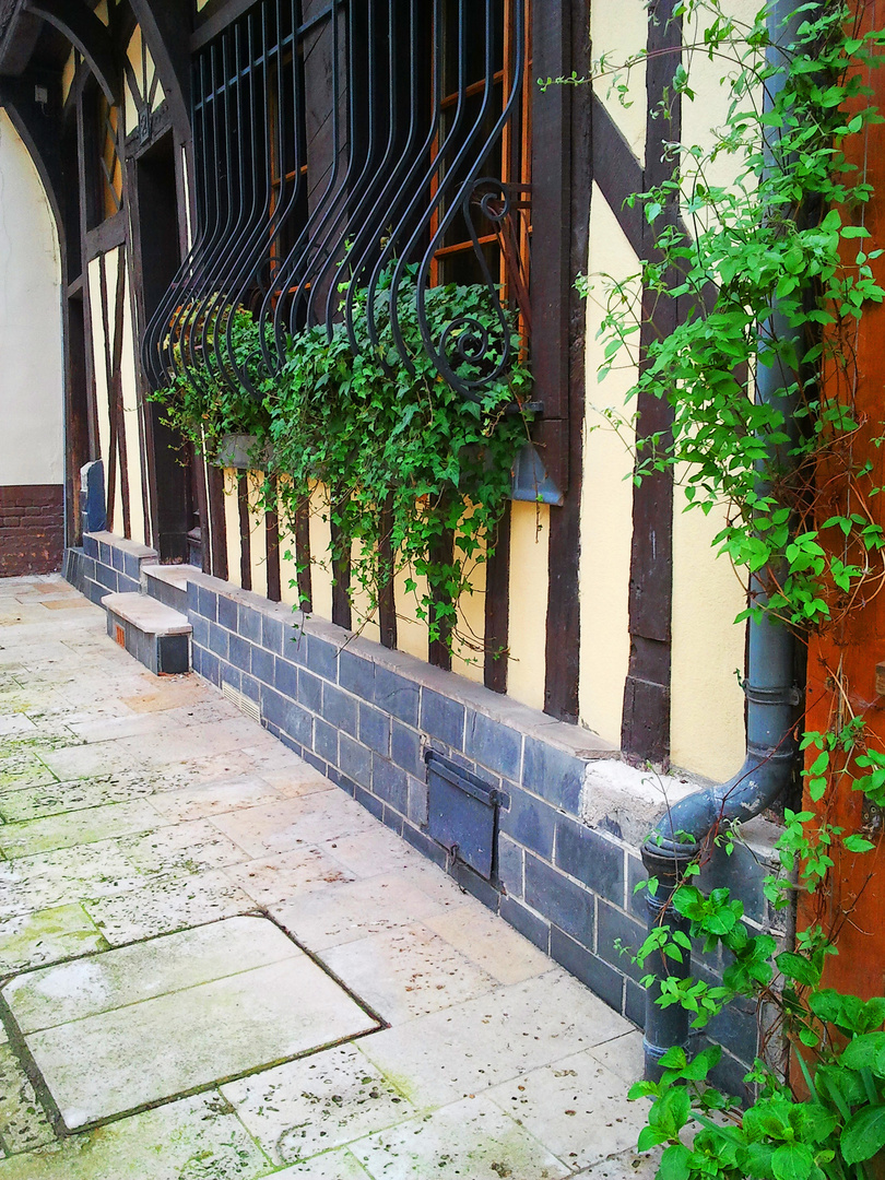 Verdure au coeur de Troyes