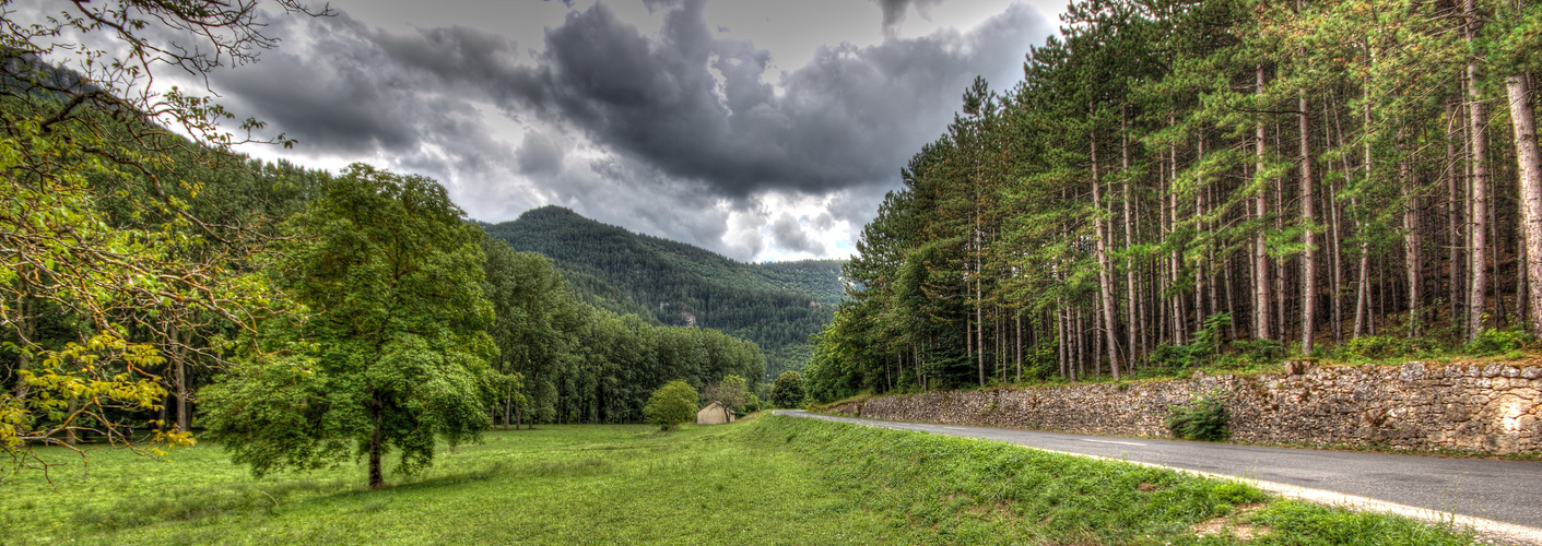 VERDURE ET GRISAILLE