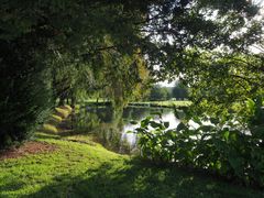 Verdure et reflets