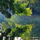 VERDURE SUR SORGUE