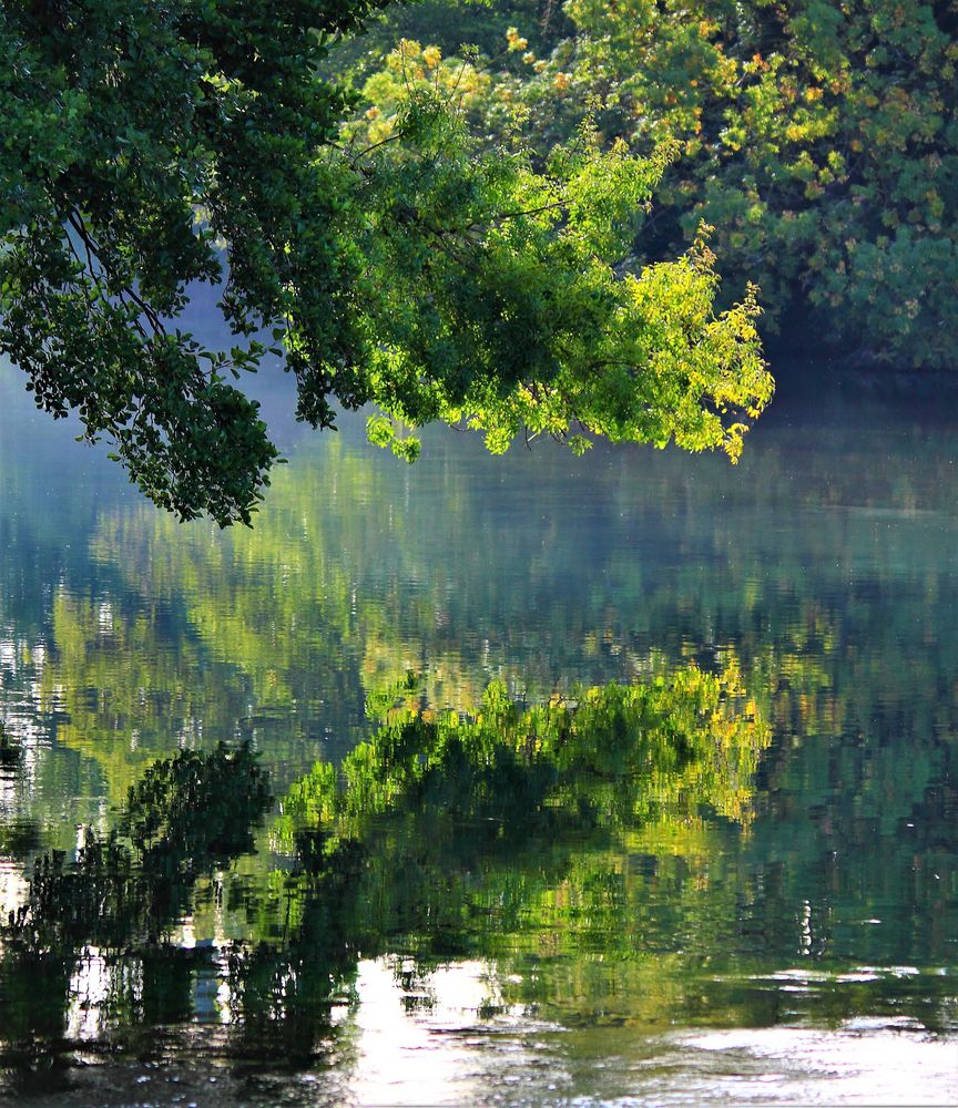 VERDURE SUR SORGUE