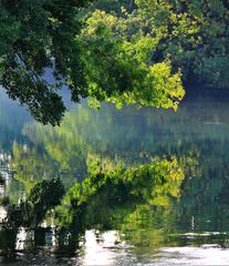 VERDURE SUR SORGUE