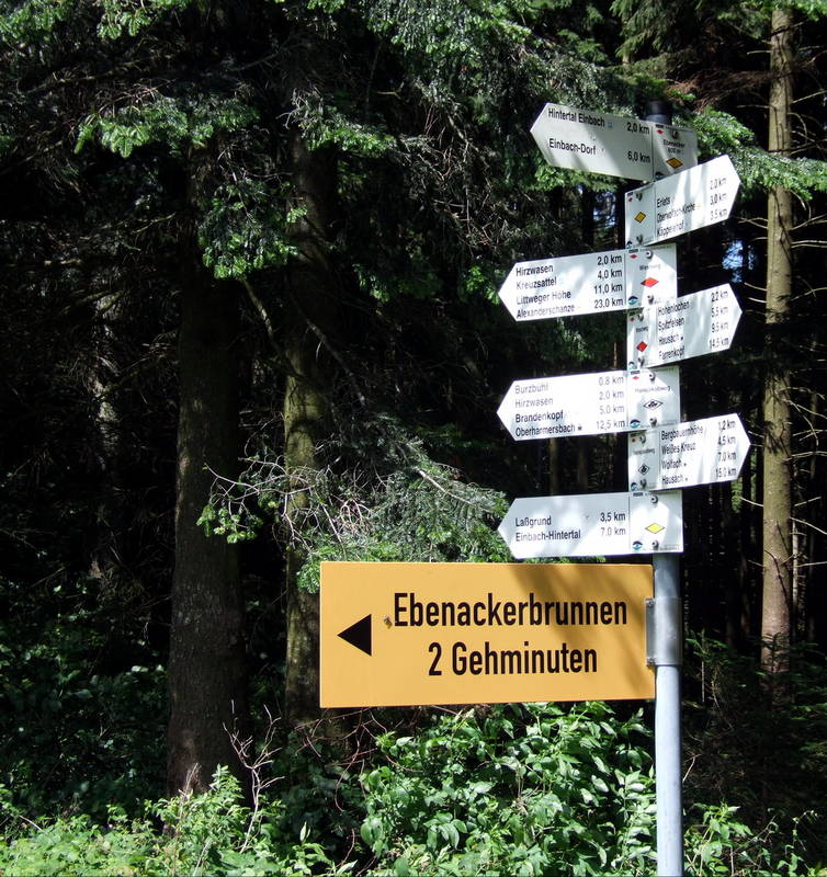 Verdurstet im Schwarzwald?