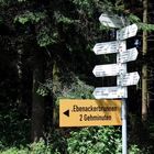 Verdurstet im Schwarzwald?