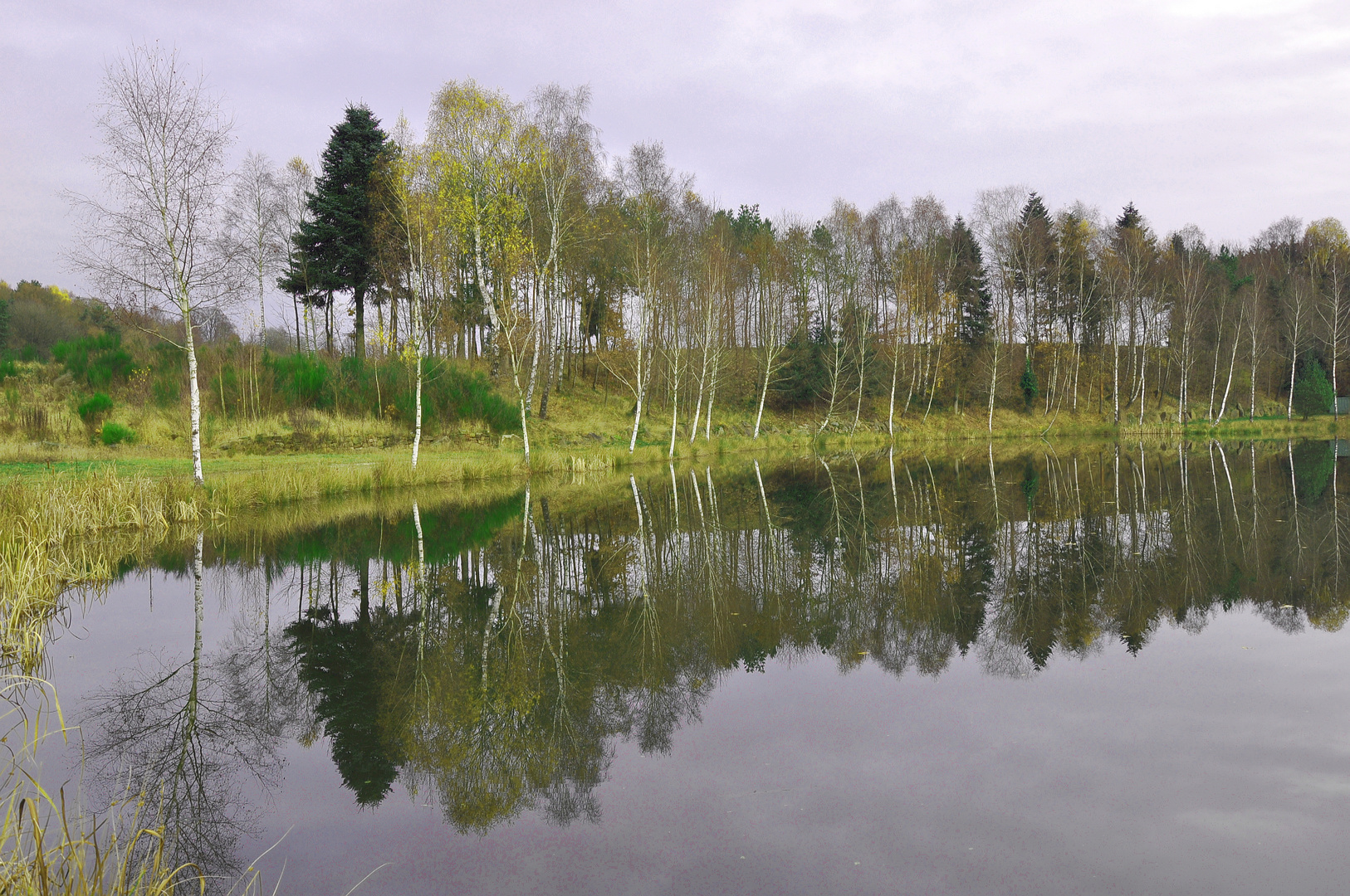 Vereinssee Himmelrod