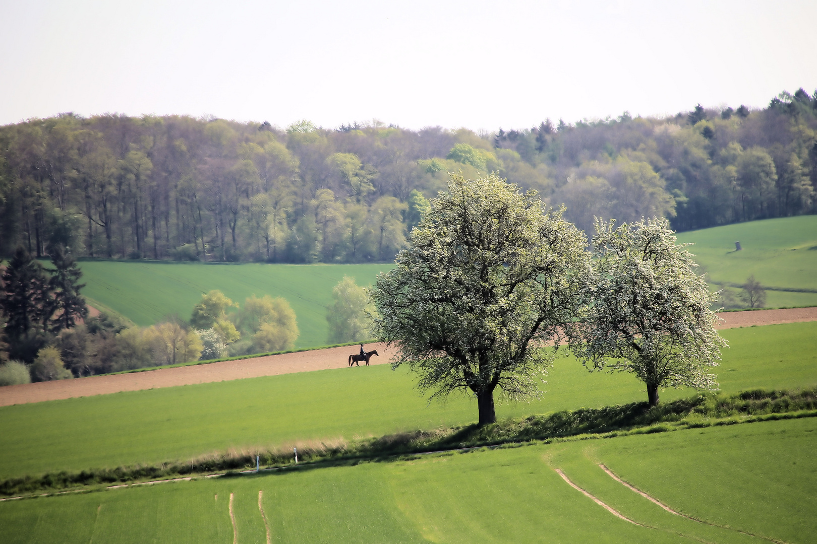 vereint mit der natur...