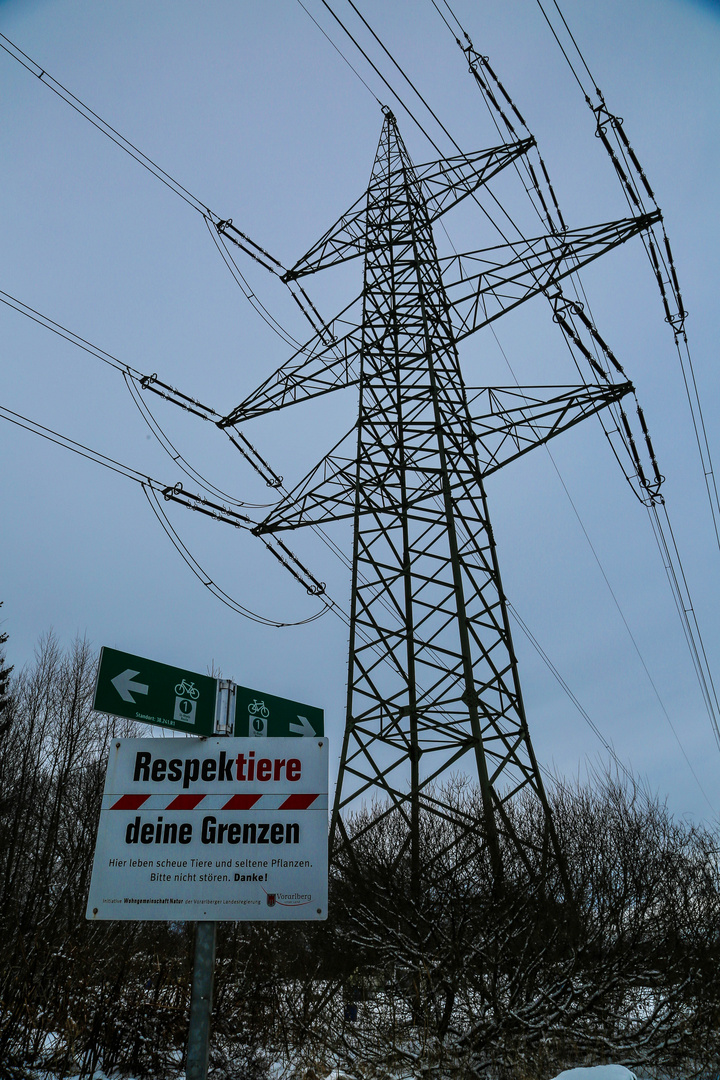 Vereinte Technik und Natur