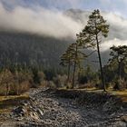 Vereinzelt sonnige Abschnitte im Voralpenland.