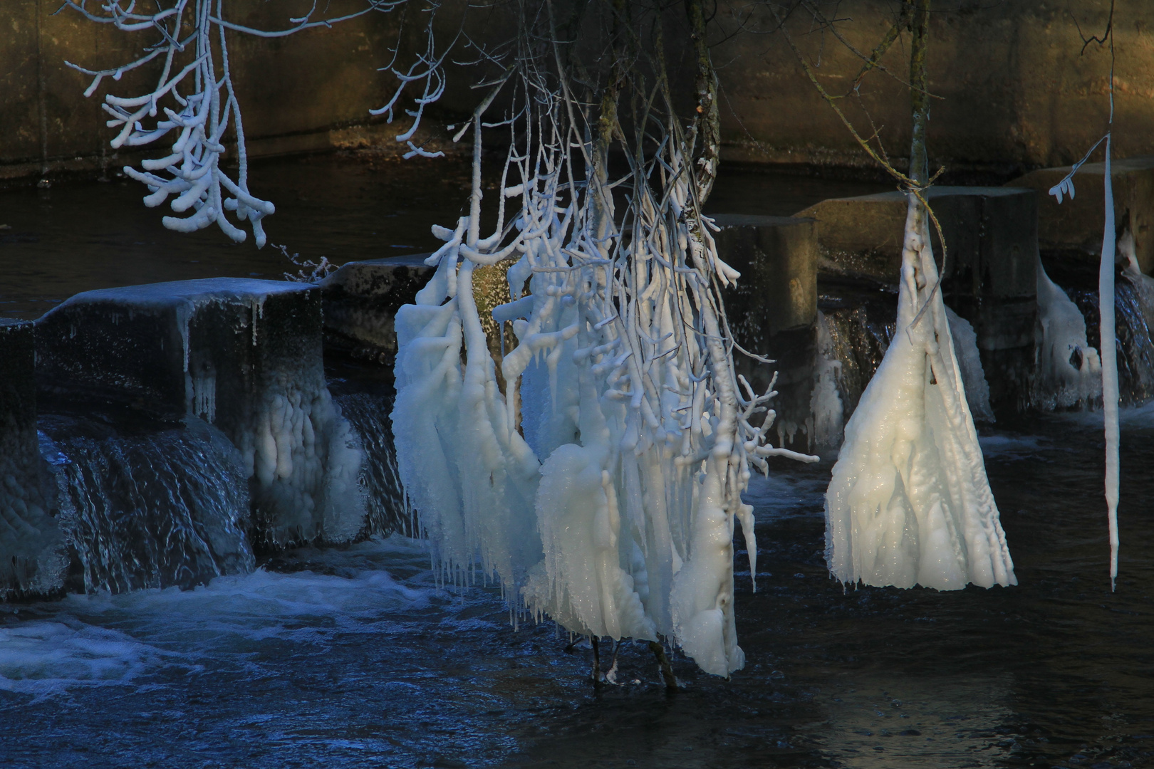 vereiste Äste bei - 19 Grad