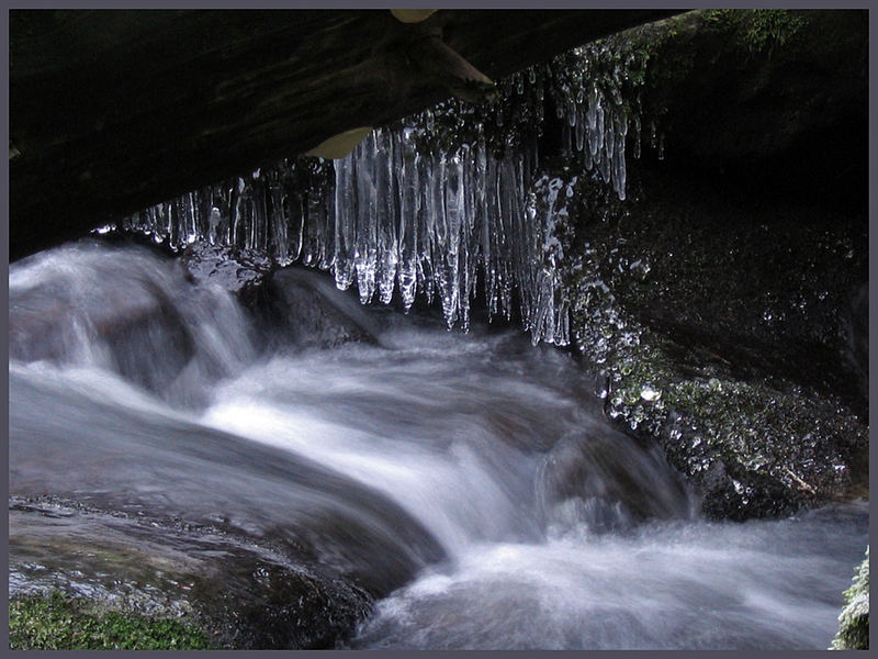 vereiste Bachklamm