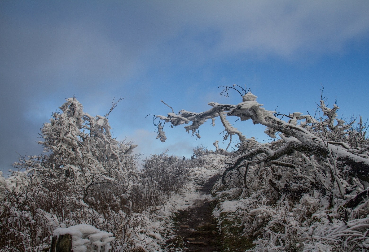 Vereiste Landschaft