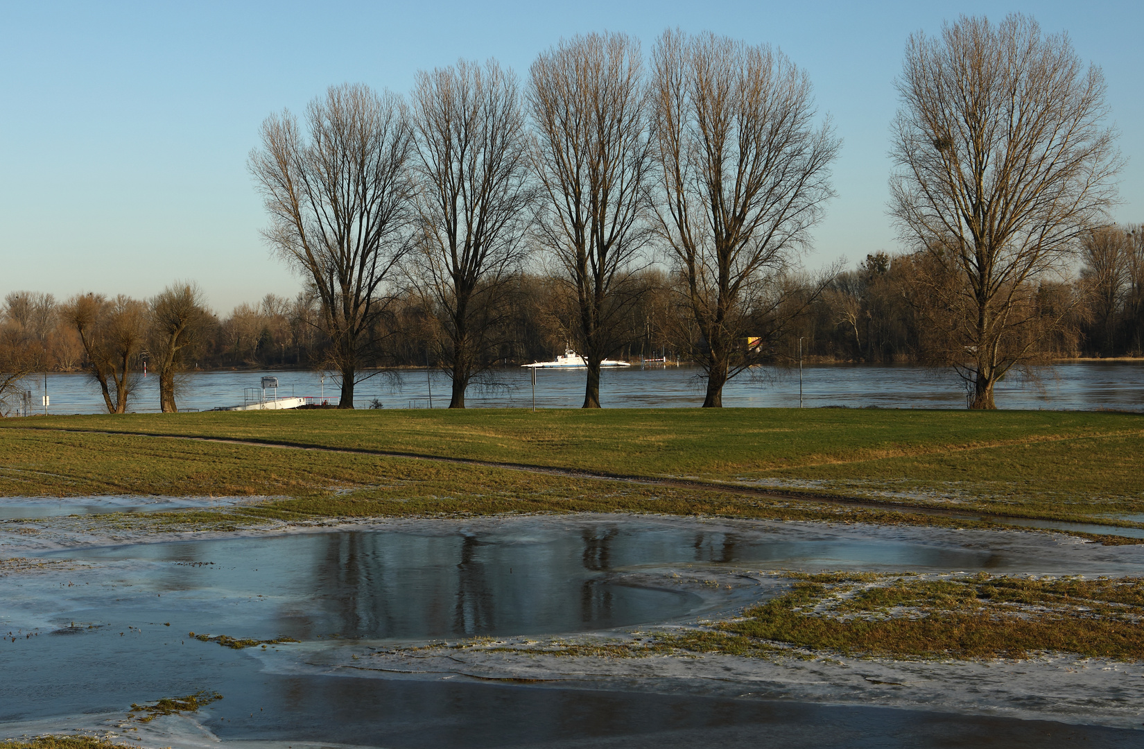 vereiste Rheinwiesen