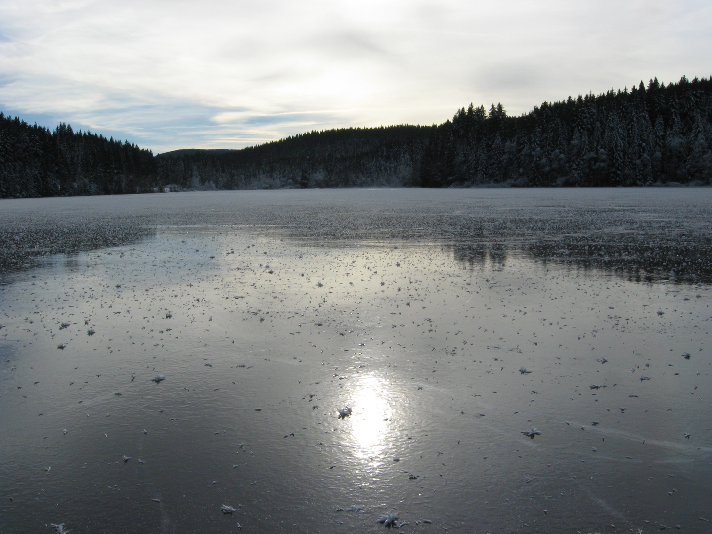 Vereister See im Schwarzwald