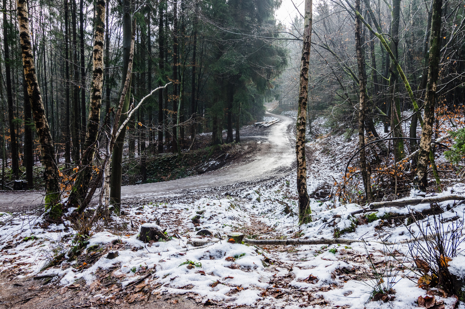 Vereister Waldweg