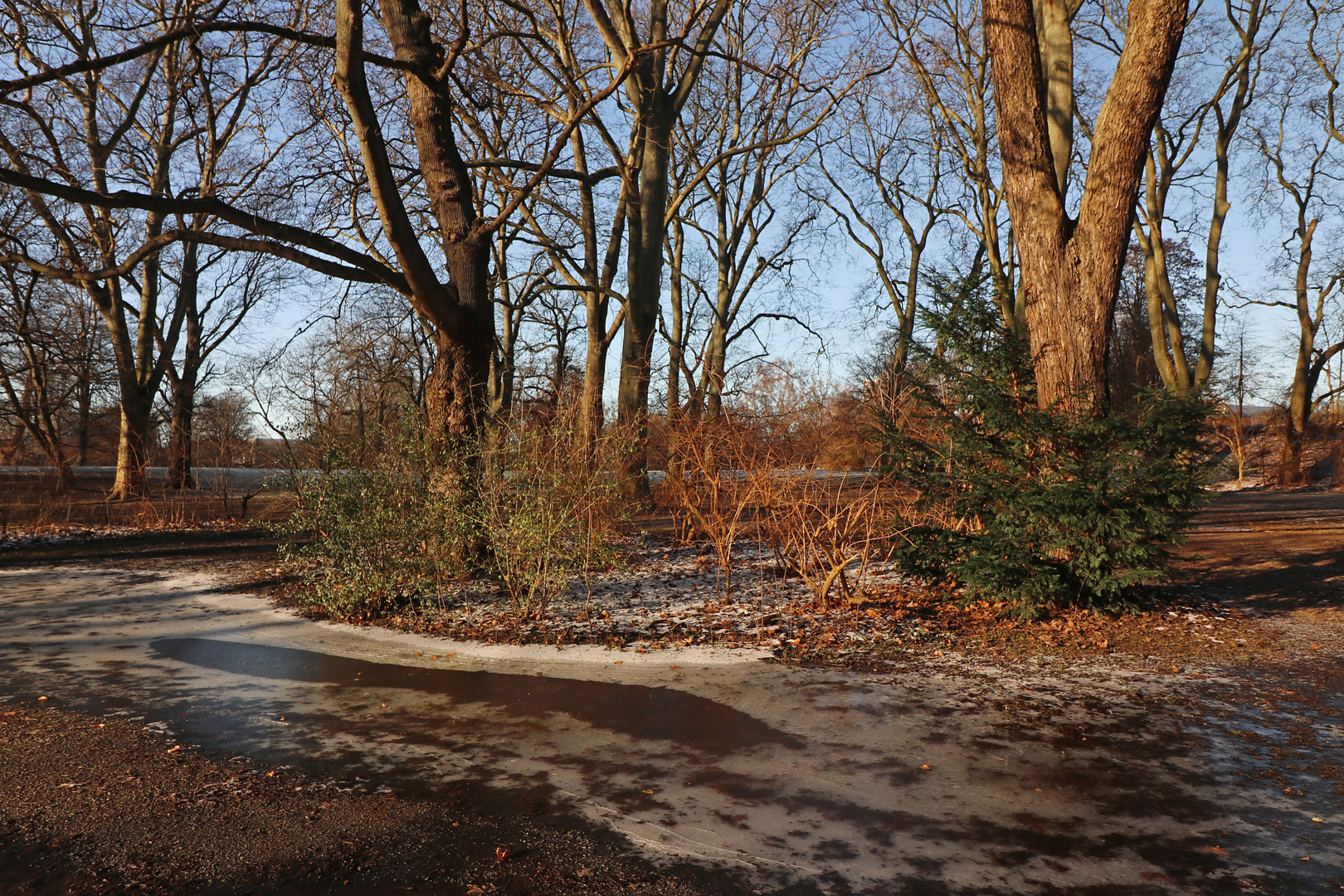 Vereister Weg im Park