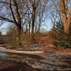 Vereister Weg im Park