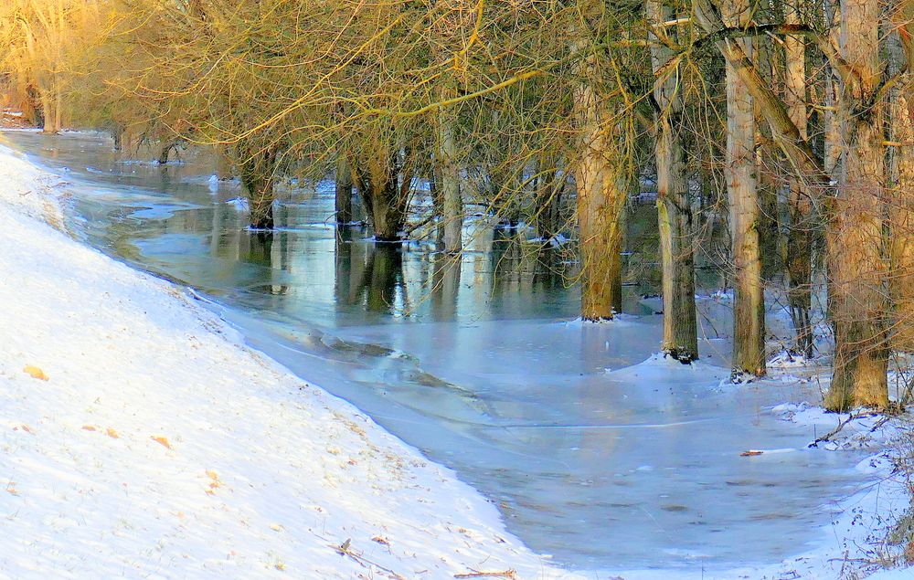 Vereistes Rhein-Hochwasser