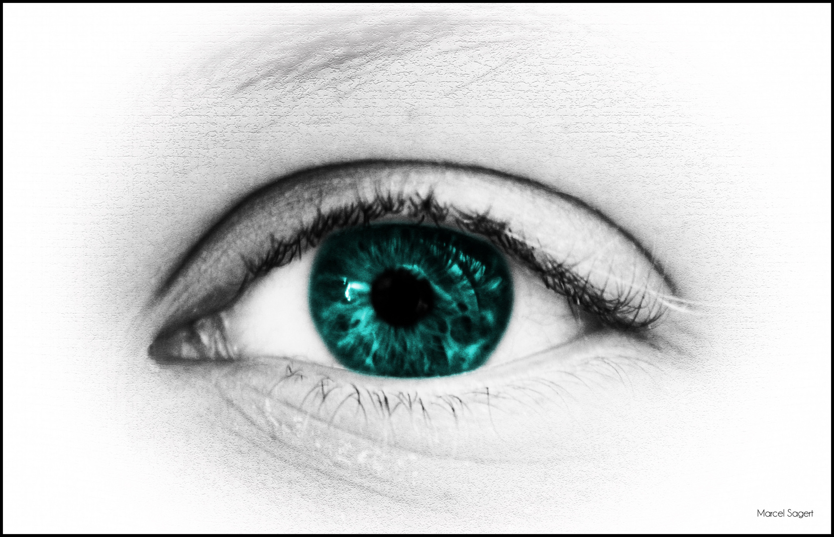 Verena's Auge