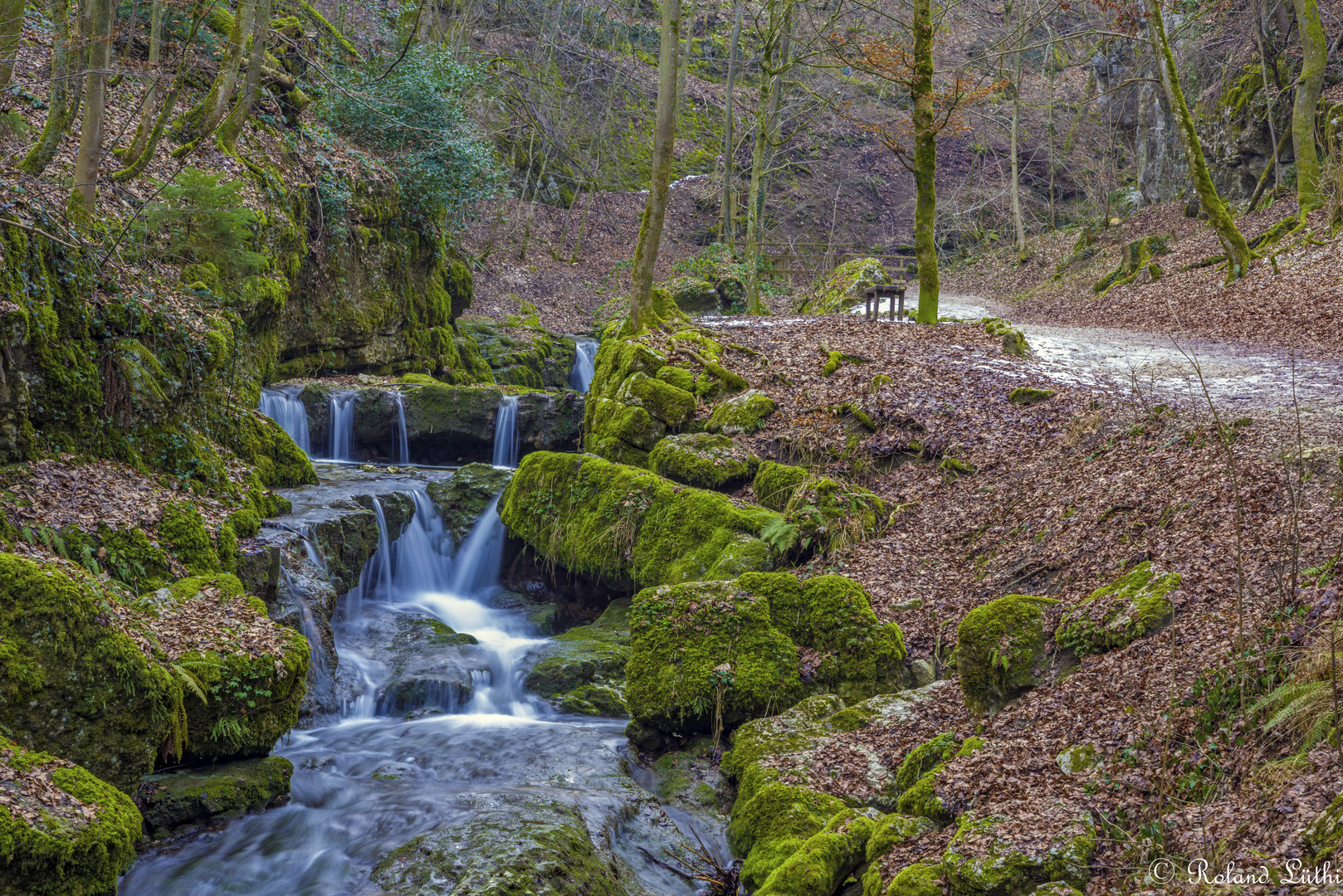 Verenaschlucht