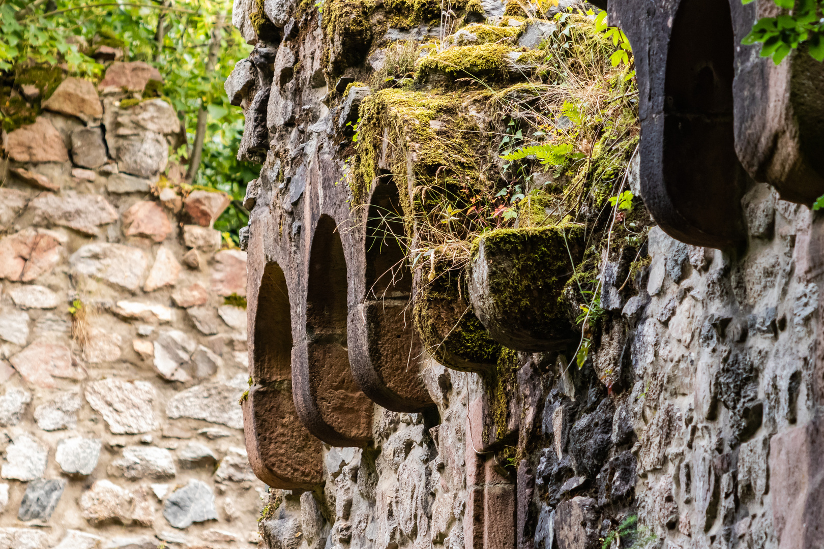 Verfall.... die Ruine Rodenstein 