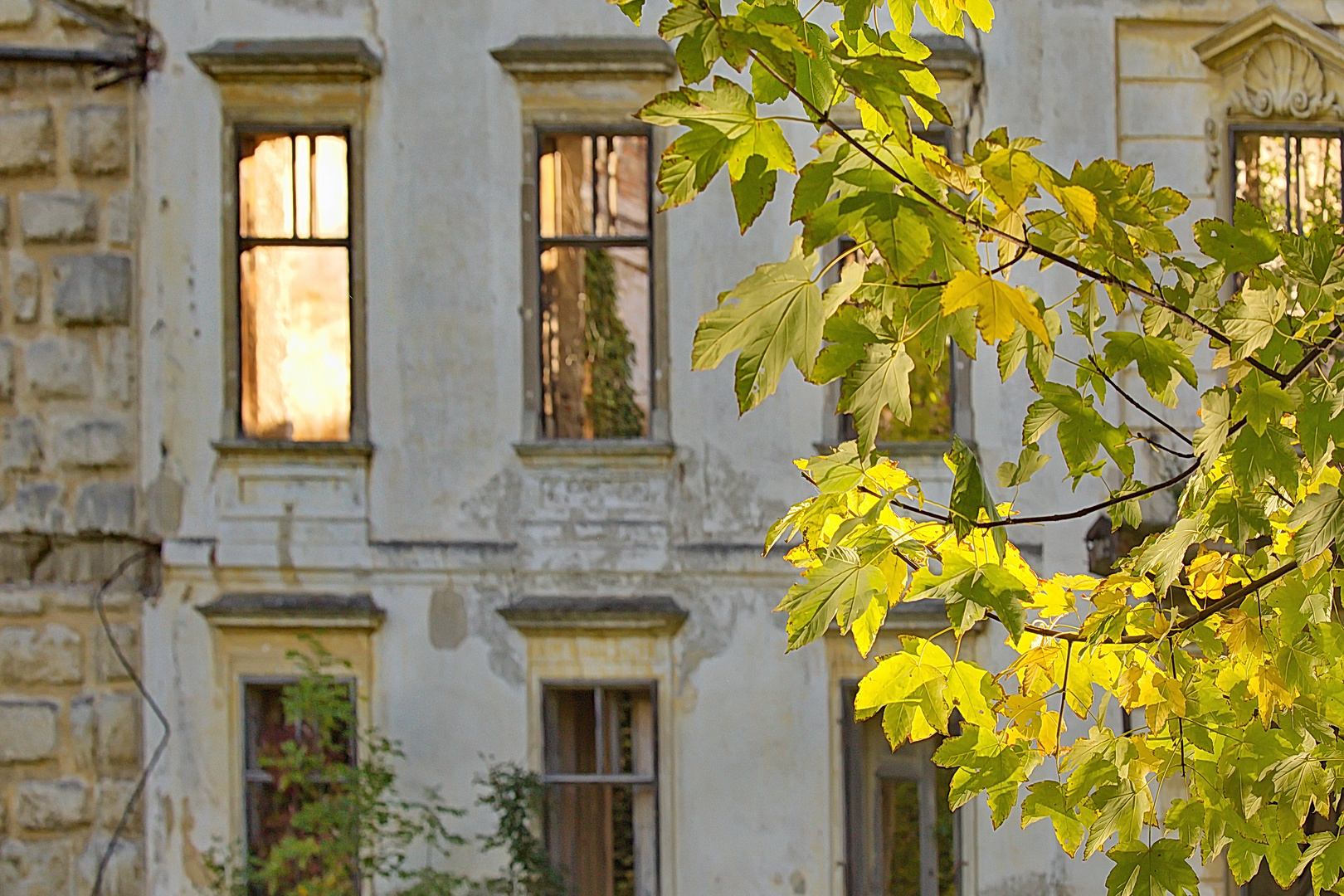 Verfallene Gemäuer im Herbstlicht