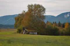 verfallene Hütte