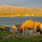 verfallene Hütte auf Sommarøya 