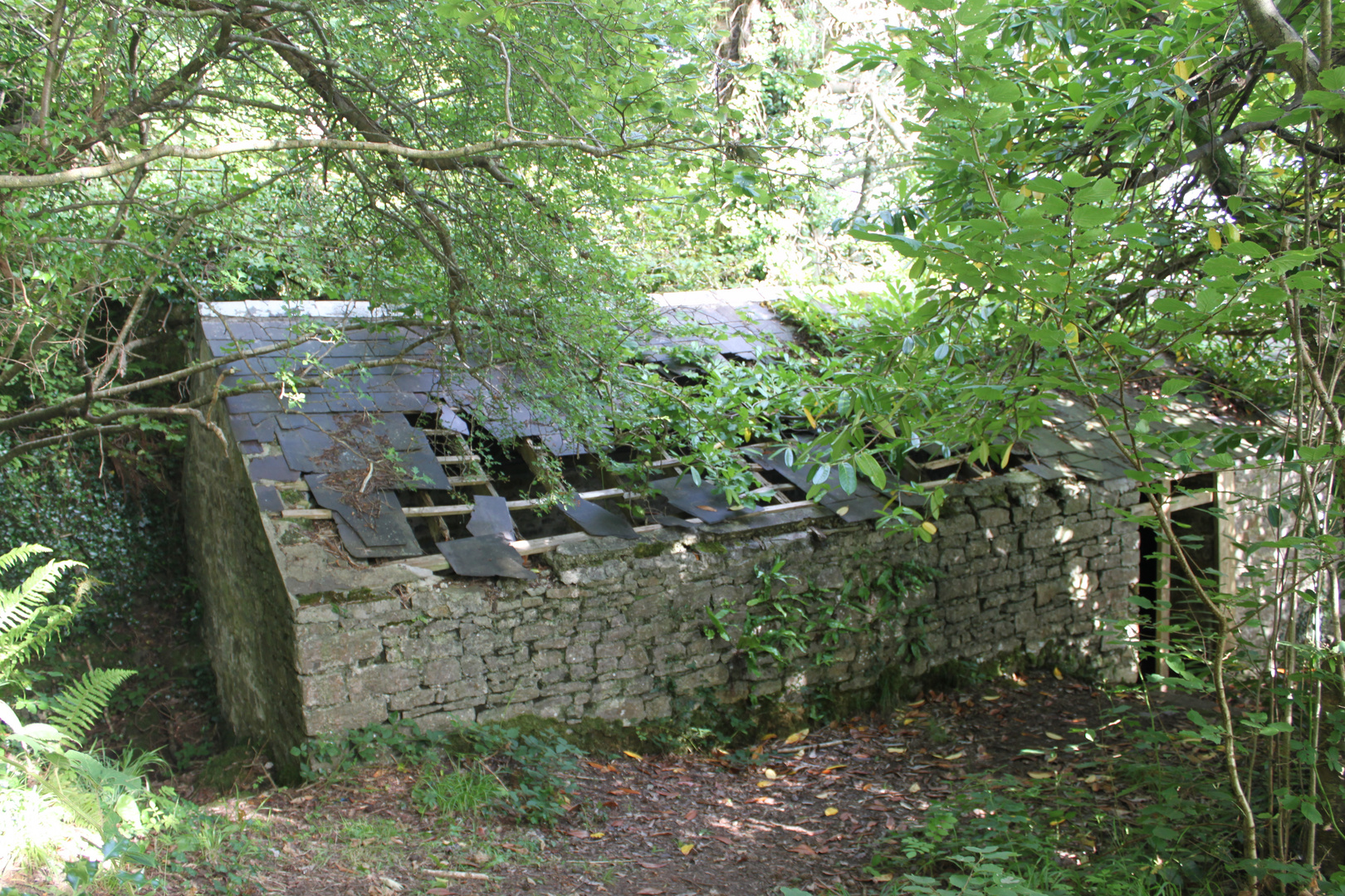 Verfallenes Bootshaus am Lough Meelagh