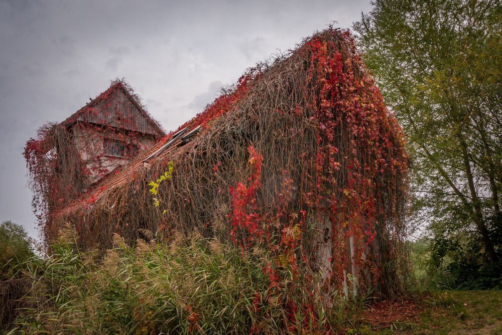 verfallenes Haus auf dem Gurkenradweg - Spreewald